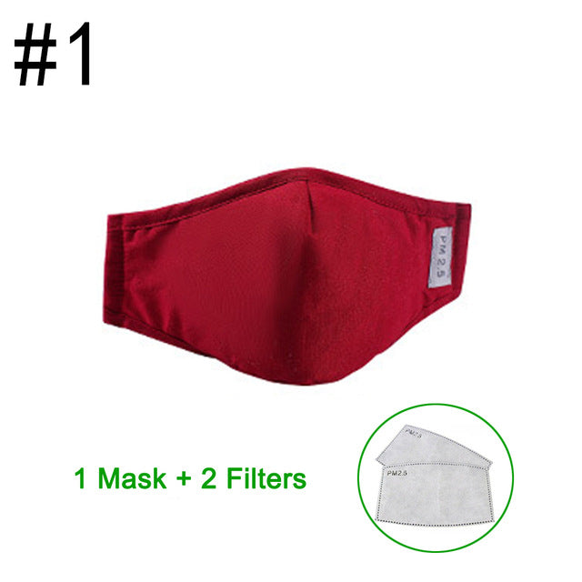 PM2.5 Anti haze smog mouth Dust Mask